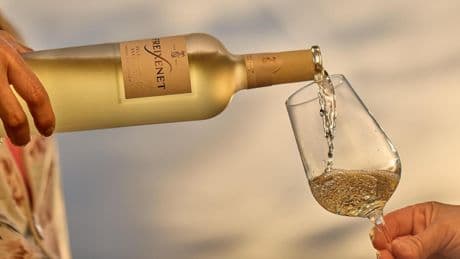 Los vinos más aromáticos de Freixenet estrenan imagen
