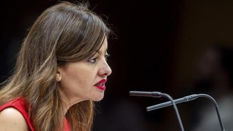 El Gobierno costeará los traslados de menores migrantes, que prevé empezar en agosto
