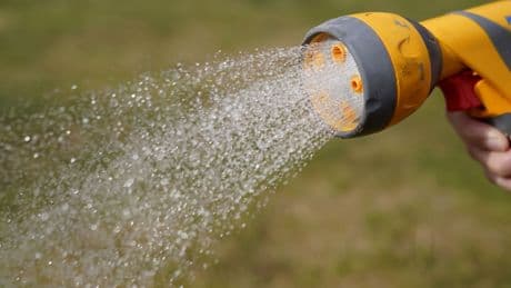 Yorkshire households first to face hosepipe ban as hot dry summer bites