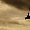 Ondersteboven aan helikopter vliegt neushoorn zijn redding tegemoet