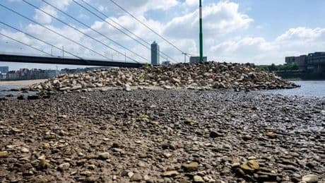 EU-Wasser-Kommissarin: „Leitungswasser schmeckt einfach am besten“