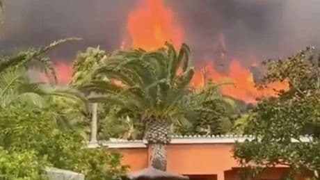 Cadiz LIVE: Tourists evacuated after fierce wildfire near beach resorts
