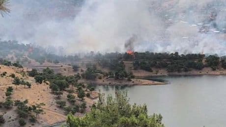 Adıyaman’da orman yangını: Müdahale sürüyor