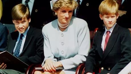 Heartbreaking update in Prince Harry and William feud as author drops Diana bombshell