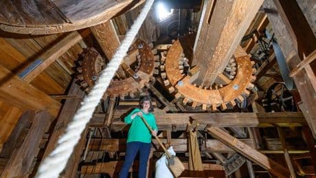 Mühlentag: Brandenburger Mühlen feiern Jubiläum