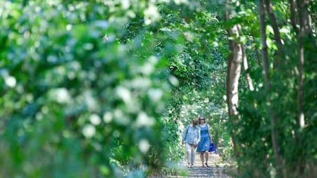 Schöneberger Südgelände: Wo auch Blinde Berlins Natur genießen
