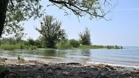 Nacktbaden: Neuer FKK-Strand am Bodensee geplant