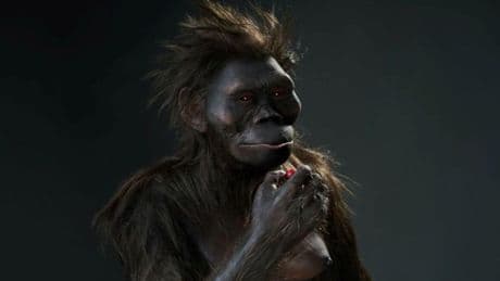 Lucy visita por primera vez Europa 3,2 millones de años después
