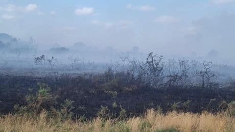 Major incident declared as huge fire rages on Dorset heath