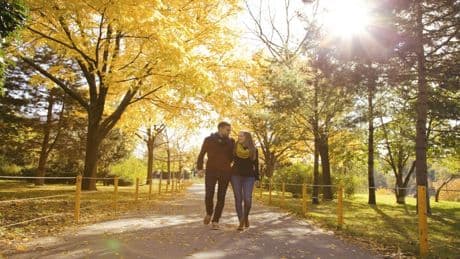 Walking Wonder: Das passiert, wenn Sie jeden Tag 30 Minuten gehen