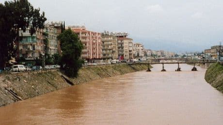 Asi üzerine...