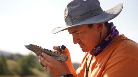 Walking With Dinosaurs viewers devastated as major change has ‘ruined’ beloved show