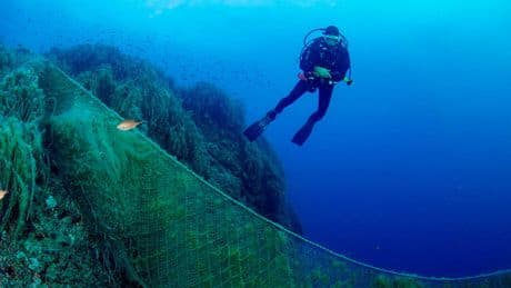À la reconquête des fonds marins