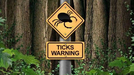 Tick varieties are creeping into new parts of the U.S., spreading disease
