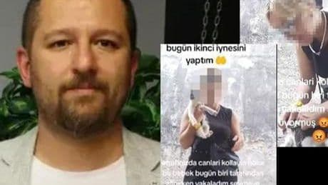 Sakarya’da sahte veteriner skandalı! Sokak kedilerine iğne yaptı şok detaylar ortaya çıktı