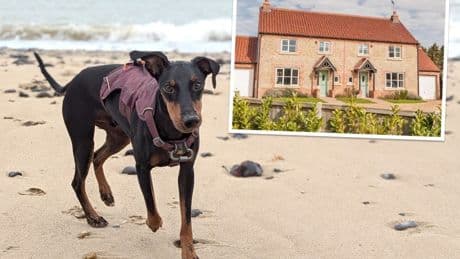 I stayed a the dog-friendly cottage in the UK with welcome hampers and nearby beaches