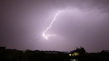 Orages: une femme en urgence absolue après la chute d'une branche d'arbre à Paris