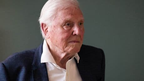 David Attenborough came close to drowning due to faulty 1950s scuba diving equipment