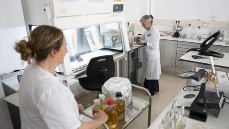 Investigan un brote de gastroenteritis con 46 afectados tras una boda en Escalante