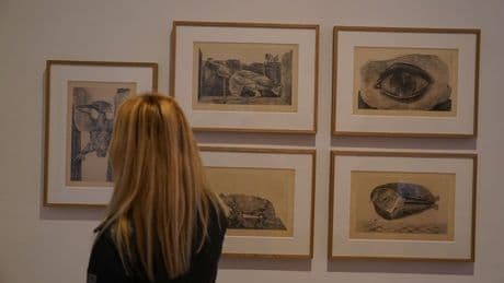 El Bellas Artes presenta 34 obras que se suman a la exposición de Max Ernst