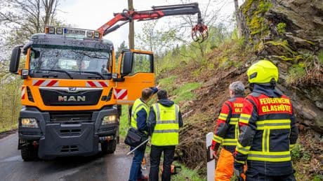Tödlicher Arbeitsunfall - Mann von Holzstämmen erschlagen