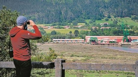 El sondeo sobre el Guggenheim de Urdaibai propone sacar la sede de Murueta