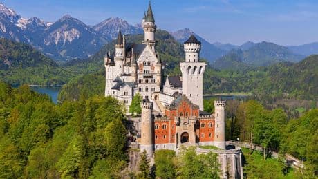 Besitzerin auf Schloss-Tour - Touristin sperrt Hund im Schließfach ein