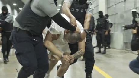 Another domestic abuse case surfaces for MS-13 suspect who Democrats want to un-deport