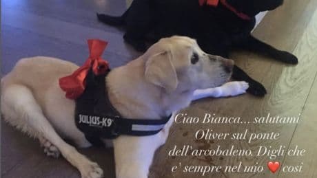 Addio a Bianca, il cane di Antonella Clerici: la commovente dedica della conduttrice