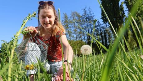 De hobby van Esther kost haar niets, ze verdient er zelfs geld mee: ’Meer mensen zouden wilde planten moeten eten’
