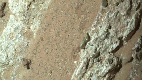 NASA, Mars'ta şimdiye kadarki en net yaşam belirtisine ulaştı