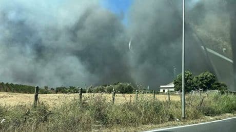 Incendio Fiumicino, bruciano sterpaglie nei pressi dell'aeroporto: caos traffico. Roghi anche sull'Aniene, case evacuate a Ponte Galeria