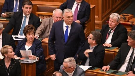 "Soit un homme, soit une femme": la Hongrie amende la Constitution pour cibler les personnes LGBT+ et les binationaux
