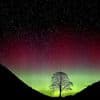 Sycamore Gap vandals face their fate in English court for felling beloved tree