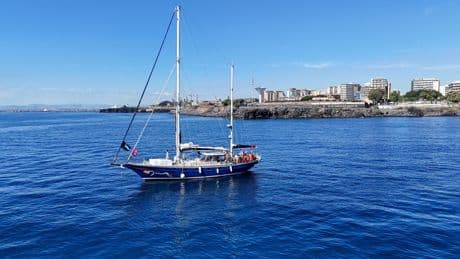 Israël : les trois derniers passagers du bateau pour Gaza expulsés vers la Jordanie