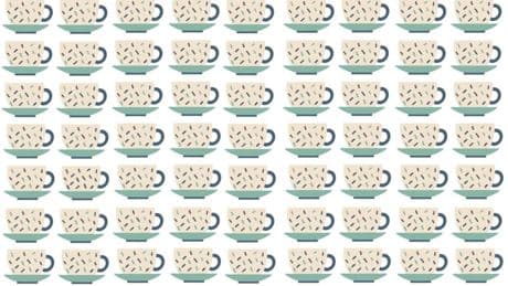 Suchbild für Profis: Augentest: Können Sie die Teetasse finden, die aus der Reihe tanzt?