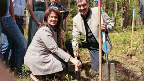 Klimawandel: Söder zieht positive Zwischenbilanz bei Waldumbau