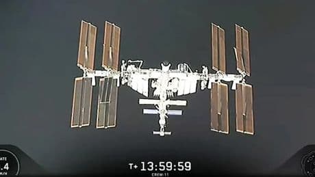 "Bonjour la station spatiale": les images de l'arrimage de la capsule Crew Dragon de SpaceX à l'ISS