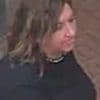Police hunt for woman who sexually assaulted male train worker as he walked through carriage