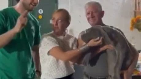 Giorgia Meloni in vacanza in Puglia, visita nella masseria che alleva cani. «Prendere un cucciolo? Magari, ma chi ha tempo»