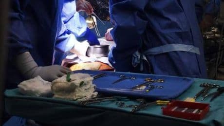 Trapianti, a Pisa evento mondiale, prime linee guida sicurezza donatore vivente di rene
