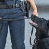 Potsdam-Eiche: Polizei lädt zum Tag der offenen Tür