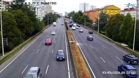 Un gato corta el tráfico en A Coruña y muerde a dos personas cuando intentan rescatarlo