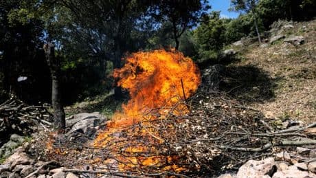 Débroussailler au bon moment, "arrêter les barbecues"... Quelles méthodes de prévention contre les incendies?