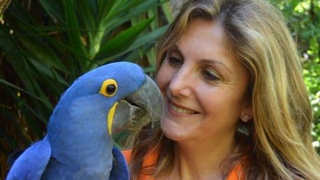 «Los alemanes son un ejemplo, no intentan tocar a los animales»