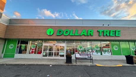 Dollar Tree's decision to ditch the everything-for-$1 strategy is helping it weather the tariff storm