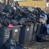 Bin crisis spreads to London! Rubbish uncollected for seven weeks with food waste, sanitary towels and nappies on borough's streets as council admits 'teething issues' with new £21.5million refuse contract