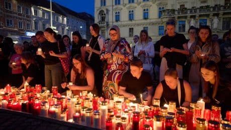 Austria plans stricter gun laws following deadly school shooting