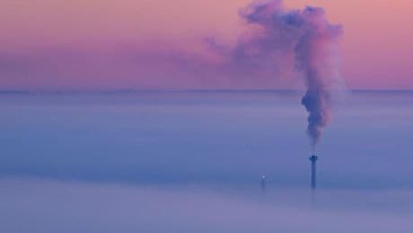Ifo-Studie: Staat sollte nur sehr gezielt in Infrastruktur investieren