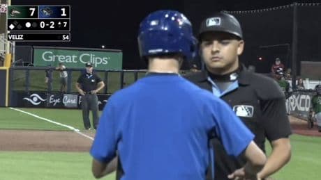 Bat boy seemingly ejected by minor league umpire in wild scene